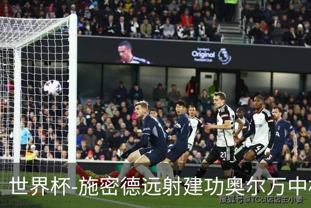 世界杯-施密德远射建功奥尔万中框 半场奥地利1-0约旦